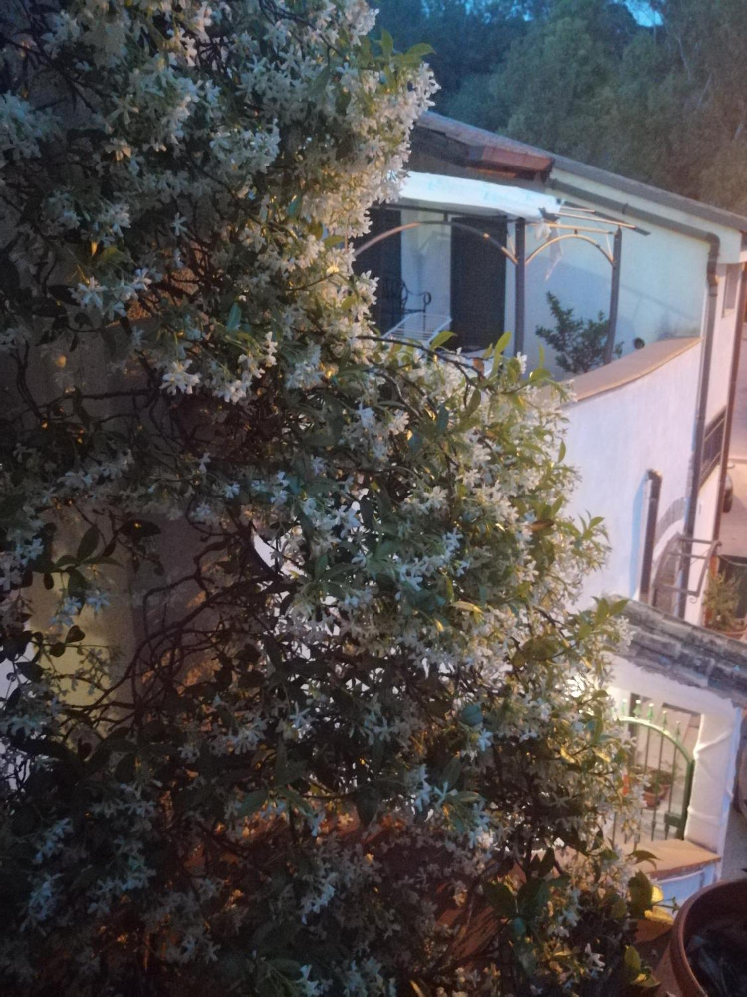 B&B Moscani Salerno Zewnętrze zdjęcie